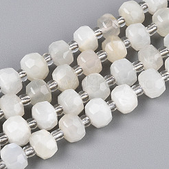 Natural White Moonstone Beads Strands&nbsp;G-T144-A01-10