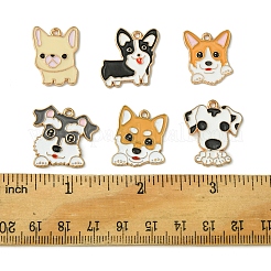 12Pcs 6 Styles Alloy Pendant&nbsp;ENAM-FS0001-81
