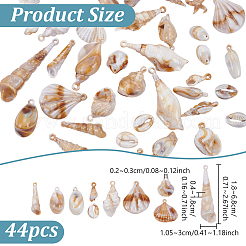 22個の不透明なアクリルパーツ  シェル形状  ペルー  18~69x9.5~30x5~17mm  穴：1~3mm&nbsp;SACR-PH0002-26