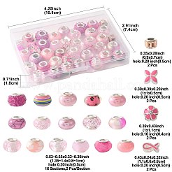 40個 20スタイル 樹脂&ガラス ヨーロピアンビーズ  大孔ビーズセット  銀色メッキの金属コア付き  混合図形  ピンク  13~14x8~9.5mm  穴：4~6mm  2個/スタイル&nbsp;RPDL-FS0001-04