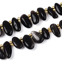 Natural Silver Sheen Obsidian Beads Strands&nbsp;G-Z091-A38