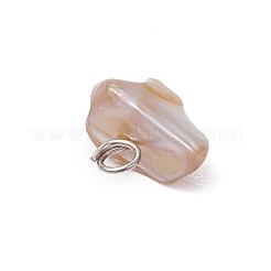 天然貝殻チップチャーム  真鍮のループを有します  貝殻色  プラチナ  6~7x6~9x4.5~6mm  穴：1.6mm&nbsp;PALLOY-JF03438-02
