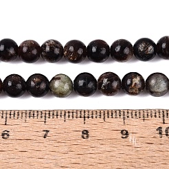 Natural Biotite Beads Strands&nbsp;G-Q616-01B