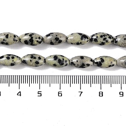 Natural Dalmatian Jasper Beads Strands&nbsp;G-K362-I14-06