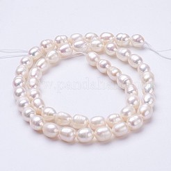 Natural Cultured Freshwater Pearl Beads Strands&nbsp;PEAR-P002-24