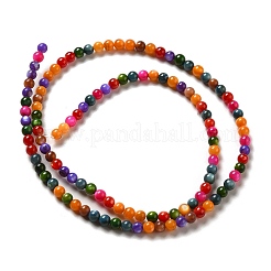 Natural Freshwater Shell Beads Strands&nbsp;SHEL-H003-03H