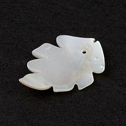 Natural Sea Shell Pendants&nbsp;SSHEL-K001-002