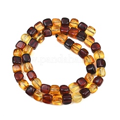Two Tone Natural Amber Beads Strands&nbsp;G-K426-A03-04