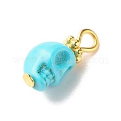 Dyed Synthetic Turquoise Charms&nbsp;PALLOY-JF01452-02