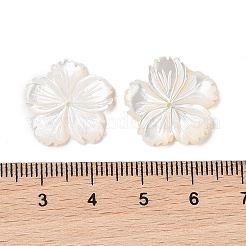 ナチュラルホワイトシェルビーズ  花  貝殻色  19.5x20x2.5mm  穴：1mm&nbsp;SSHEL-C012-23B