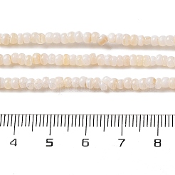Natural Freshwater Shell Beads Strands&nbsp;SHEL-P017-01B-02