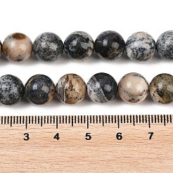 Natural Black African Opal Bead Strands&nbsp;G-H351-A01-01