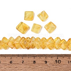 Natural Amber Beads Strands&nbsp;G-N371-12A-01