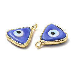 Handmade Lampwork Pendants&nbsp;LAMP-C009-01LG-01