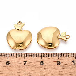 304 Stainless Steel Pendants&nbsp;STAS-T065-74G