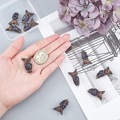 手作り樹脂粘土ペンダント  コウモリのチャーム  プラチナメッキ鉄ループ付き  ココナッツブラウン  32~33x16~18x12mm  穴：2mm  10個/箱&nbsp;CLAY-CA0001-04-1