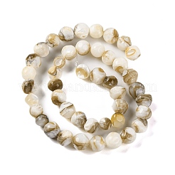 Natural Freshwater Shell Beads Strands&nbsp;BSHE-S304-03