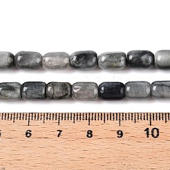 天然石のイーグルアイストーンビーズ連売り  コラム  9~9.5x6mm  穴：0.9~1mm  約42~43個/連  15.24~15.8''（38.7~39.5センチメートル）&nbsp;G-G980-43