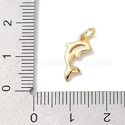 真鍮製、シェルチャーム付き  イルカ  18KGP本金メッキ  9.5x14x2mm  穴：3mm&nbsp;KK-Q030-06G