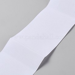 Polyester Ribbon&nbsp;OCOR-WH0109-357B