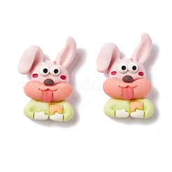 Opaque Resin Cabochons&nbsp;RESI-G036-A07