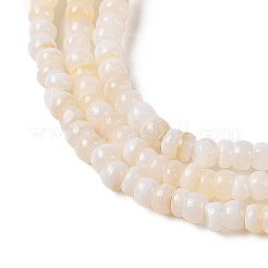 Natural Freshwater Shell Beads Strands&nbsp;X-SHEL-P017-01B-02