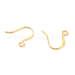 Brass Earring Hooks&nbsp;X-KK-F824-012G