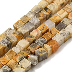 Natural Crazy Agate Beads Strands&nbsp;G-F631-K27