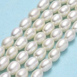 天然養殖淡水パールビーズ連売り  ライス  リネン  6~7.5x4.8~5.3mm  穴：0.5mm  約56~57個/連  14.17~14.57''（36~37センチメートル）&nbsp;PEAR-J006-20B-01