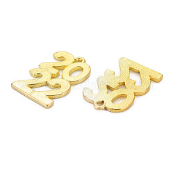 ラックメッキ合金ペンダント  カドミウムフリー＆鉛フリー  数2022  ゴールドカラー  27.5x17x1.5mm  穴：1.6mm&nbsp;PALLOY-S139-008-RS