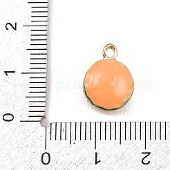 Hamburger Alloy Enamel Charms&nbsp;ENAM-P264-01B-G