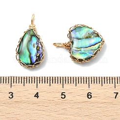 Copper Wire Wrapped Natural Paua Shell Pendants&nbsp;PALLOY-JF05711