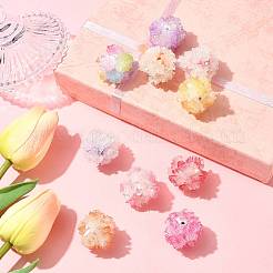 10Pcs 10 Colors Resin Beads&nbsp;RESI-FS0002-24B