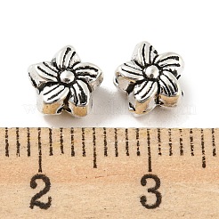 Tibetan Style Alloy Beads&nbsp;PALLOY-F307-04AS-02