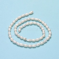 Natural Cultured Freshwater Pearl Beads Strands&nbsp;X-PEAR-J006-13A