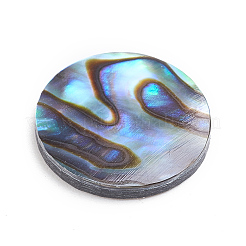 Natural Abalone Shell/Paua Shell Cabochons&nbsp;LS-SSHEL-L017-001