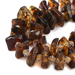Natural Amber Beads Strands&nbsp;G-F802-A01-01