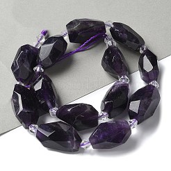 Natural Amethyst Beads Strands&nbsp;G-H095-A01-01