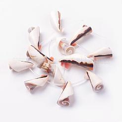 天然淡水シェルビーズ連売り  27~43x13~20mm  穴：1mm  約12個/連  14.7インチ〜15.5インチ（37.5~39.5cm）&nbsp;BSHE-L036-21