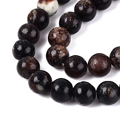 Natural Biotite Beads Strands&nbsp;G-Q616-01C