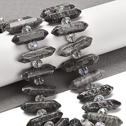 Natural Map Stone Double Terminated Point Beads Strands&nbsp;G-H069-B09-01