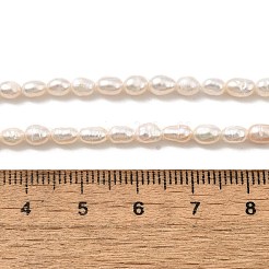天然養殖淡水パールビーズ連売り  ライス  グレード3 A  古いレース  2.8~3.2mm  穴：0.5mm  約70~71個/連  13.98''（35.5センチメートル）&nbsp;PEAR-I007-01L-01A