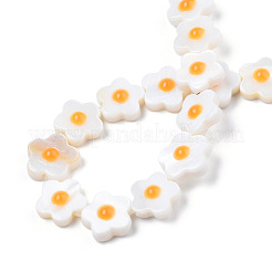 天然淡水シェルビーズ連売り  片面エナメル  花  オレンジ  10.5~11x10.5~11x4mm  穴：0.7mm  約39~41個/連  15.16インチ〜15.75インチ（38.5~40cm）&nbsp;SHEL-N003-31C-01