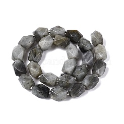 Natural Labradorite Beads Strands&nbsp;G-Q608-11E