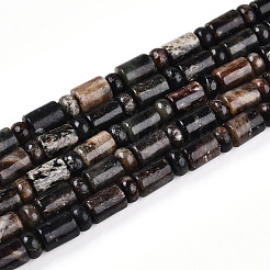 Natural Biotite Beads Strands&nbsp;G-N346-03A-02