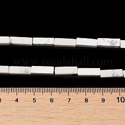 Synthetic Howlite Beads Strands&nbsp;G-K340-D06-01