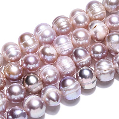 Natural Cultured Freshwater Pearl Beads Strands&nbsp;PEAR-N013-06T