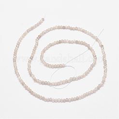 Natural Labradorite Bead Strands&nbsp;G-P279-57-2mm