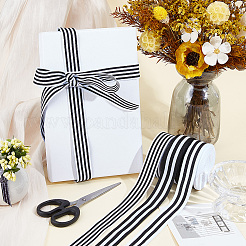 3 Styles Polyester Ribbon&nbsp;OCOR-CY0004-22