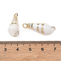 天然スパイラルシェルペンダント  コンクチャーム  金色の真鍮の縁取りと鉄製のループ付き  ホワイト  19~28x7~10x7~9mm  穴：3mm&nbsp;SH-CBACA76-11